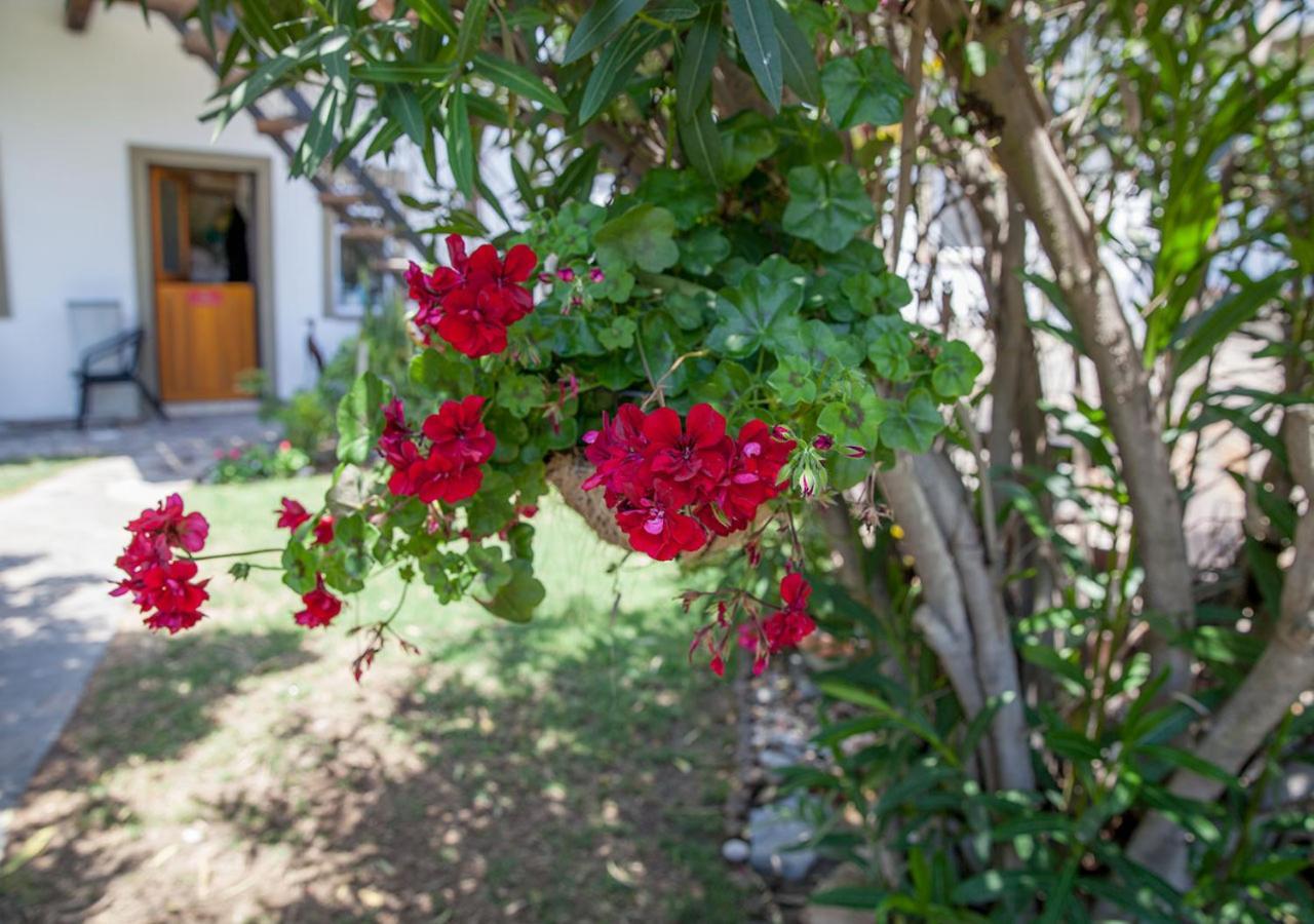Stay Cleverly Self Catering Apartments Walvis Bay Ngoại thất bức ảnh